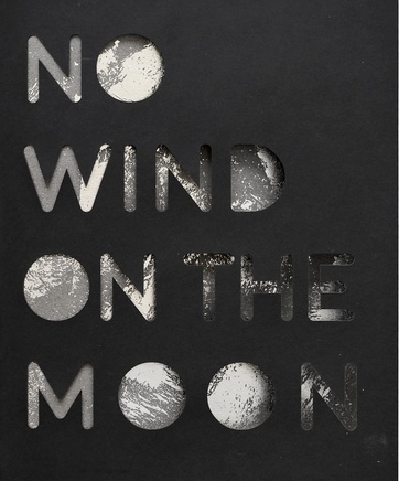 Jessica Thalmann & Ryan Van Der Hout | No Wind on the Moon